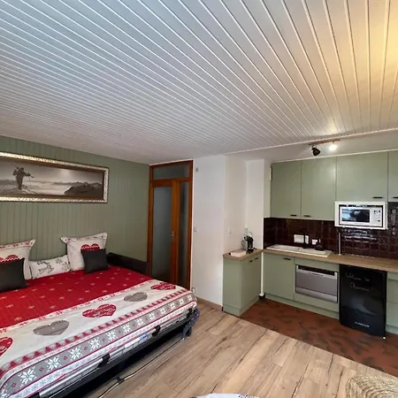 Apartamento Dent Du Caiman, Hyper Centre, Parking, Vue Mont Blanc