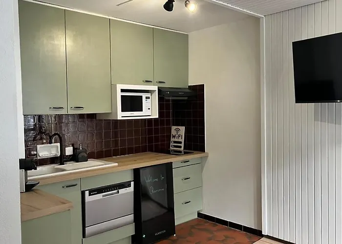 Apartamento Dent Du Caiman, Hyper Centre, Parking, Vue Mont Blanc Chamonix Mont Blanc