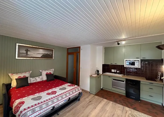 Apartmán Dent Du Caiman, Hyper Centre, Parking, Vue Mont Blanc